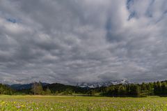 Geroldsee_3714 