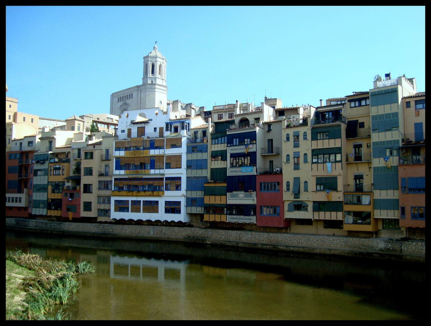  Gerona con reflejos 