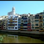  Gerona con reflejos 