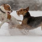 Geronimo und Isetta