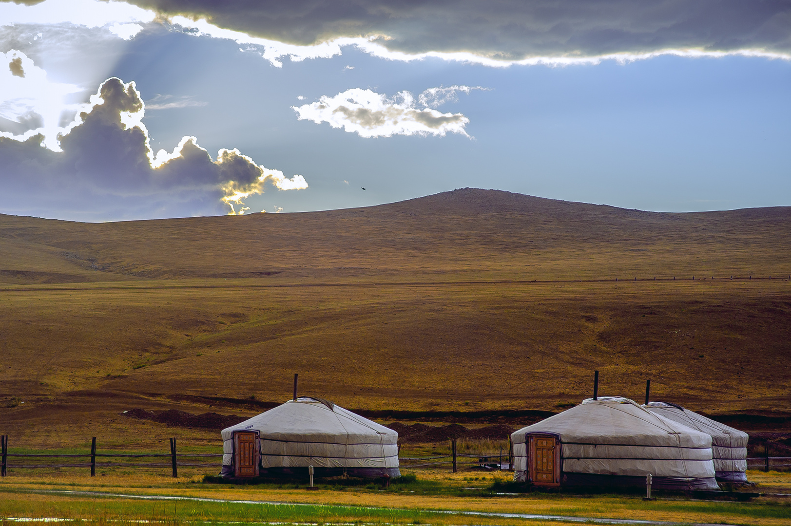 Gers at the Steppe Nomads EcoCamp