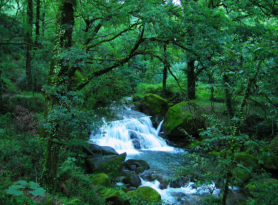 Gerês