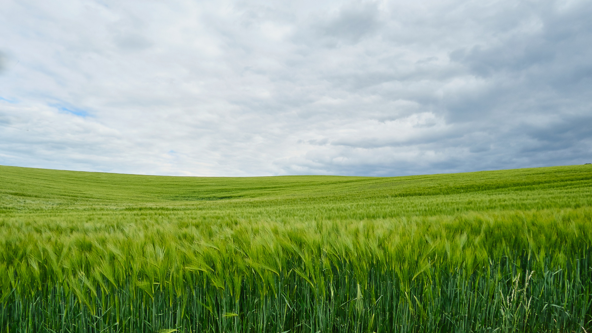 Gerste Foto & Bild himmel, felder, natur Bilder auf