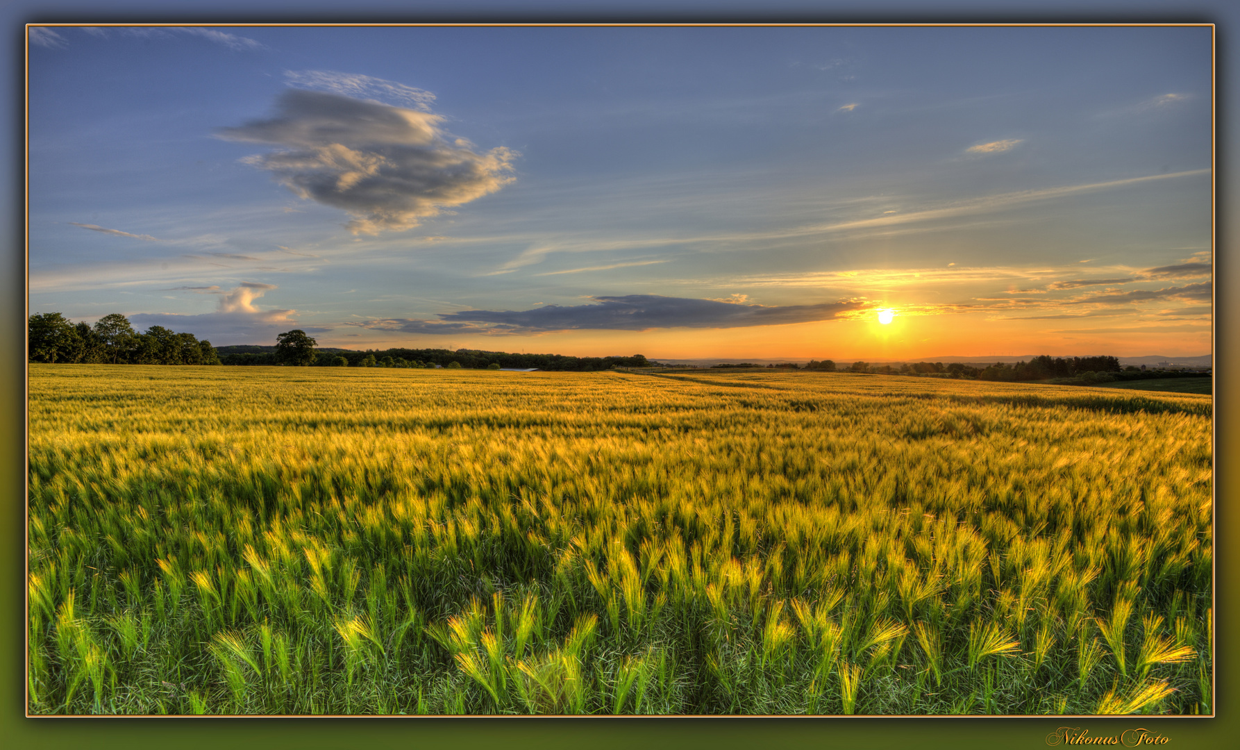 Gerstenfeld am Abend