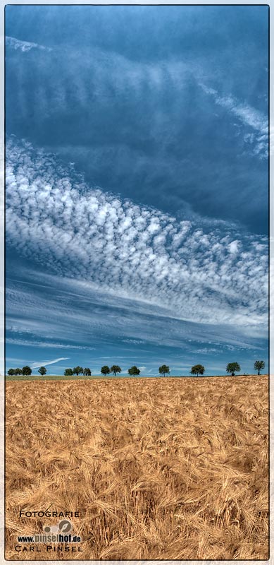 Gerstenfeld am Himmel