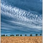 Gerstenfeld am Himmel