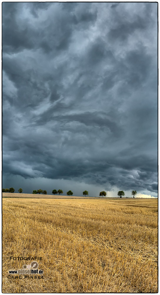 Gerstenfeld am Himmel