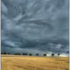 Gerstenfeld am Himmel