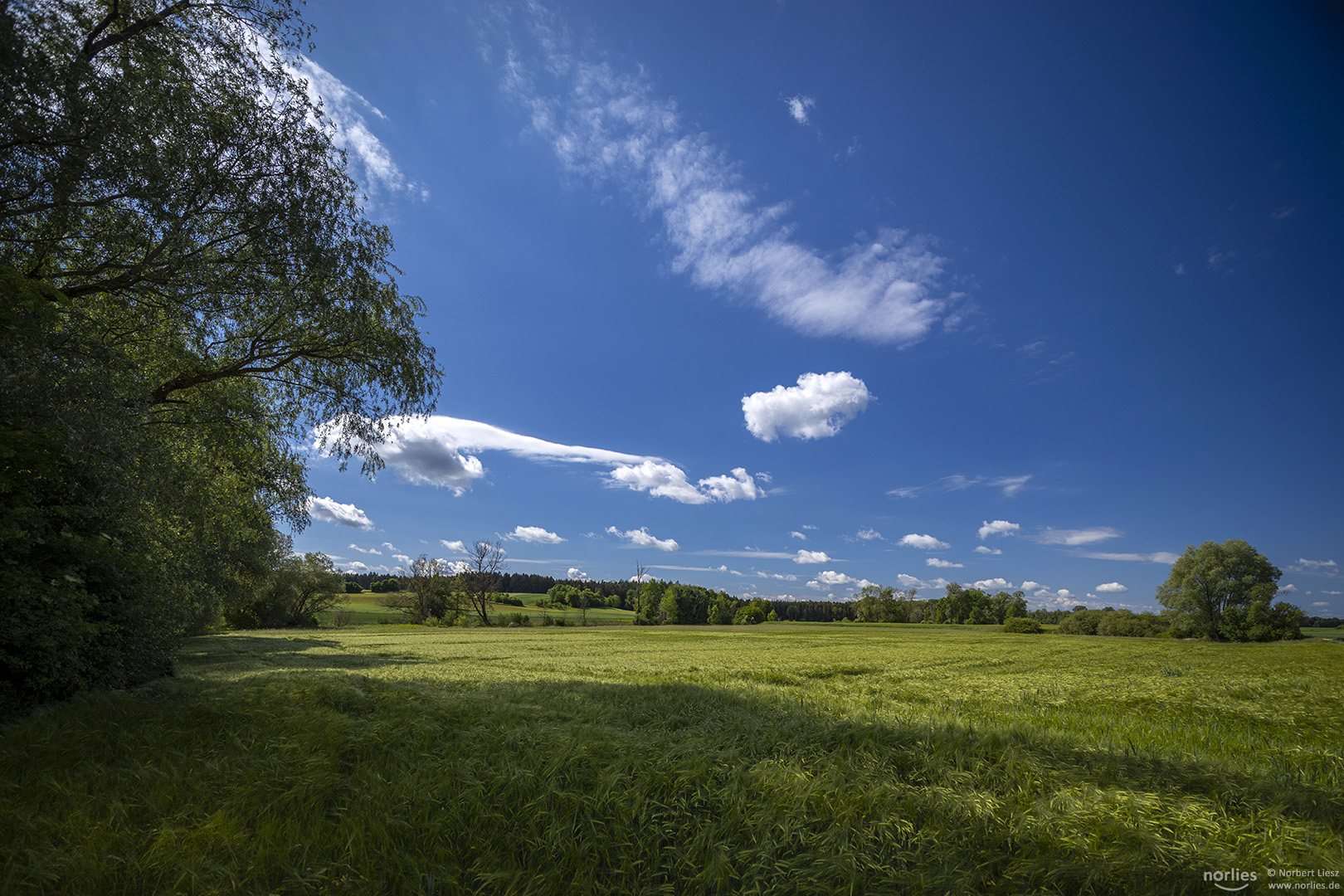 Gerstenfeld