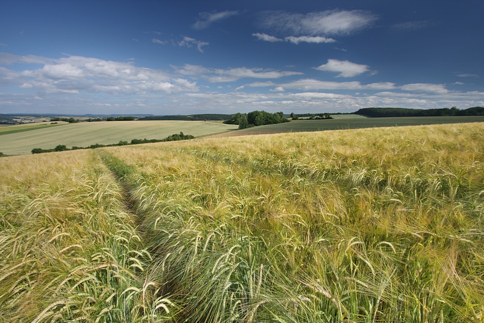 Gerstenfeld