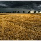 Gerstenfeld im Unwetter