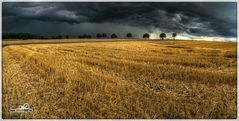 Gerstenfeld im Unwetter