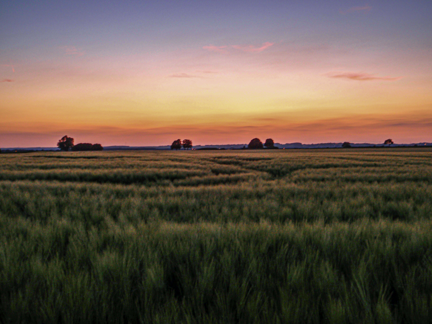 Gerstenfeld nach Sonnenuntergang