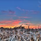 Gerstenfeld und ein toller Sonnenuntergang ;-)