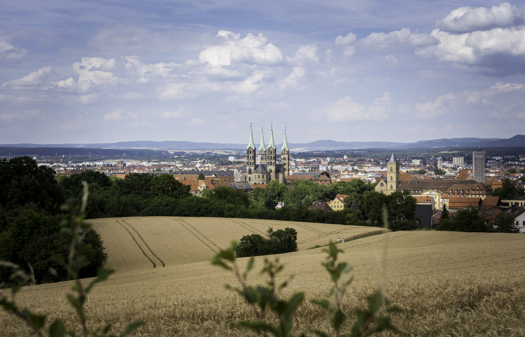 Gerstenfelder in Bamberg/Bamberger Dom