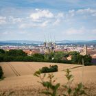 Gerstenfelder in Bamberg/Bamberger Dom