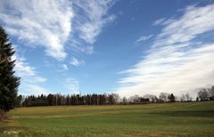 Gerstern ein Tag wie Frühling