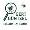Gert Güntzel