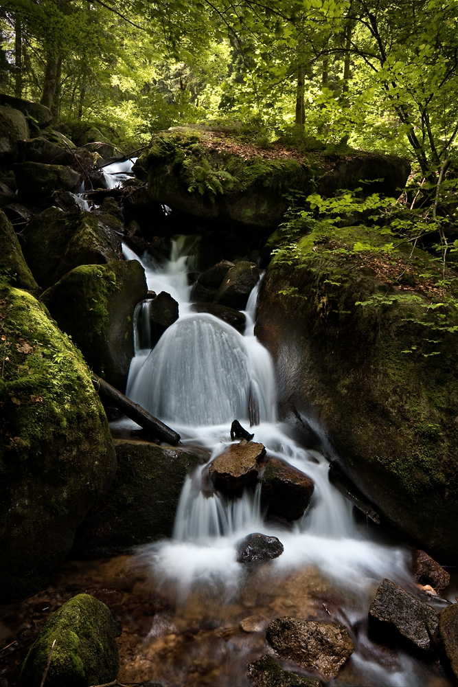 Gertelbach - Schwarzwald by mibreit 