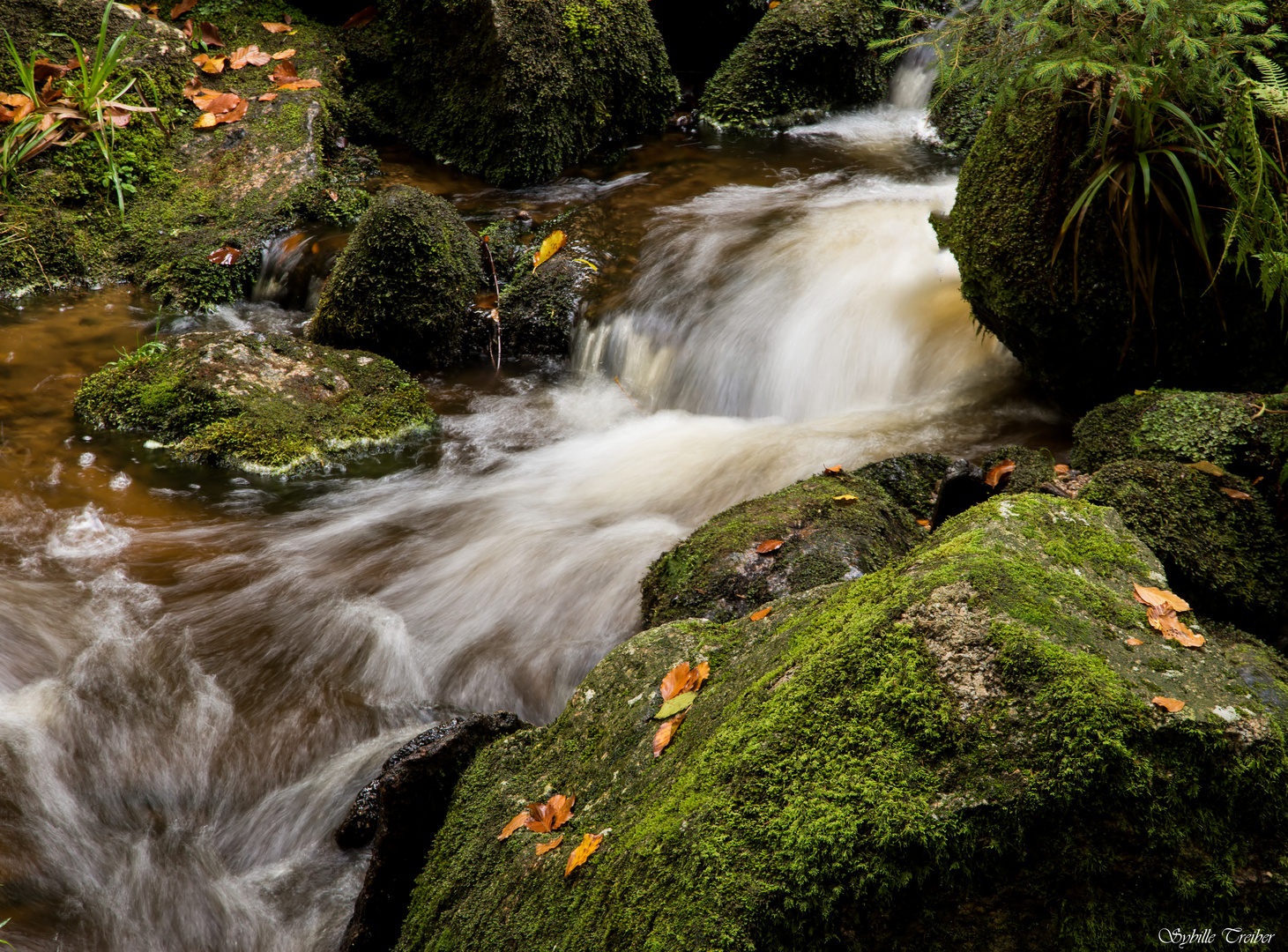 Gertelbach Wasserfälle 2