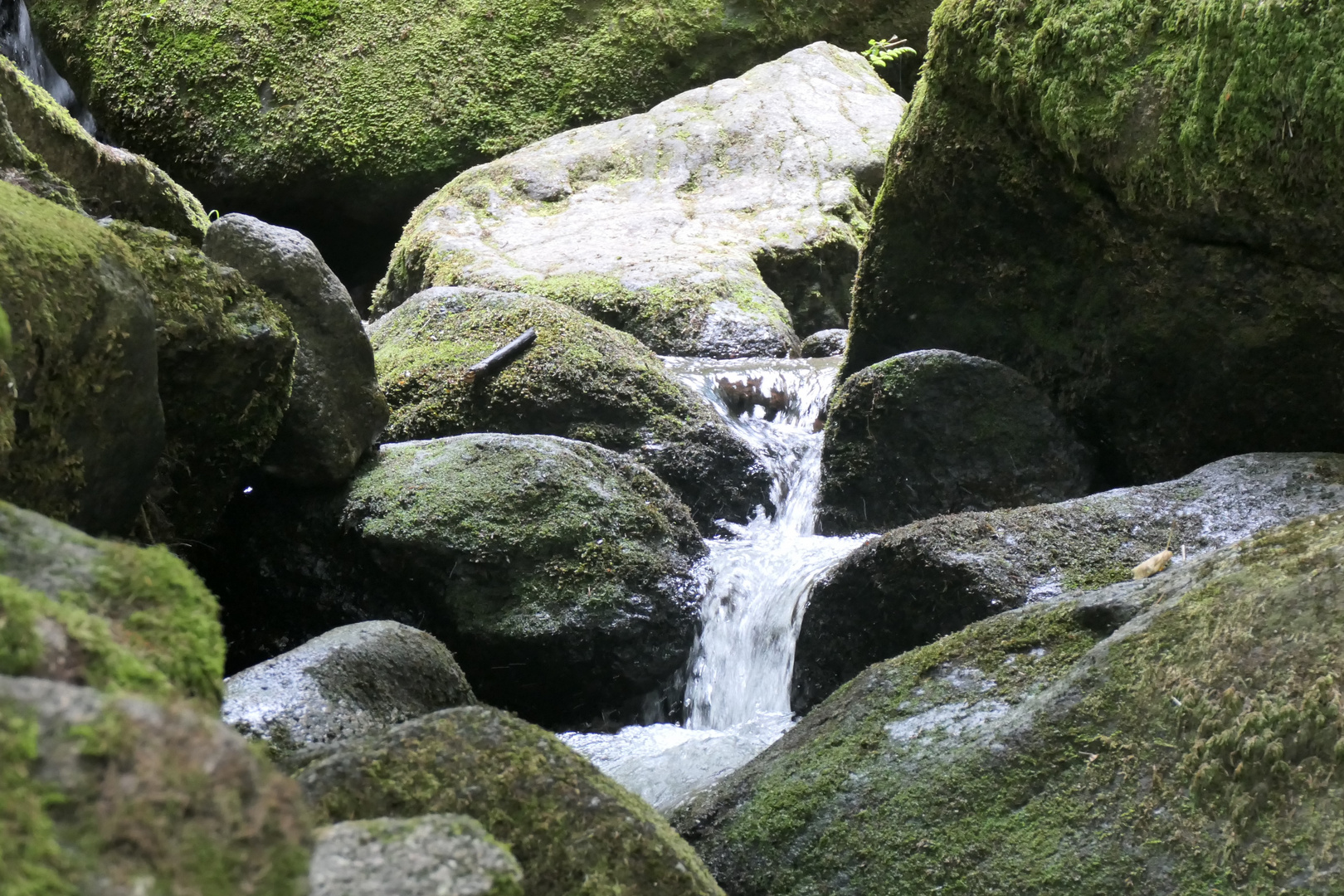 Gertelbach Wasserfälle ...