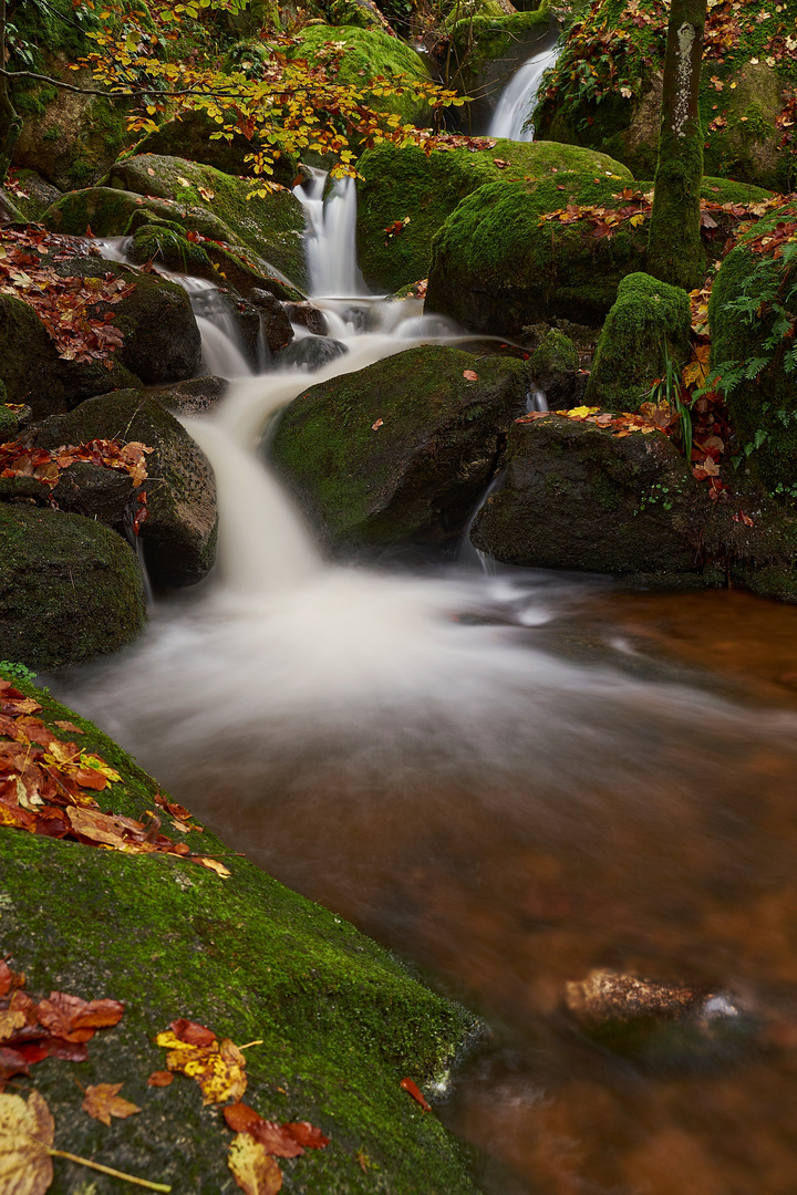 Gertelbach Wasserfälle im Herbst