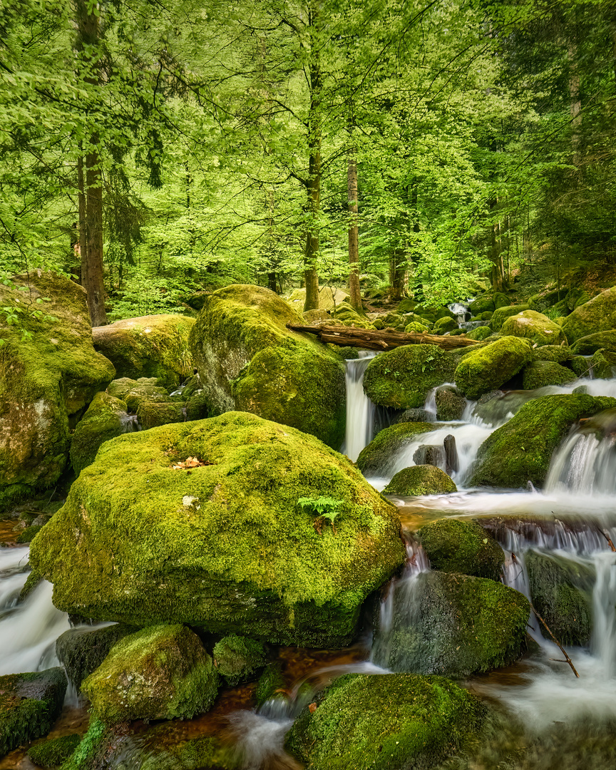 Gertelbach-Wasserfälle | Nord-Schwarzwald