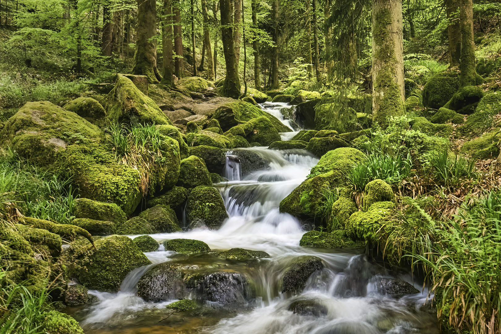 Gertelbach-Wasserfälle | Nord-Schwarzwald