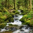 Gertelbach-Wasserfälle | Nord-Schwarzwald