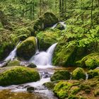 Gertelbach-Wasserfälle | Nord-Schwarzwald