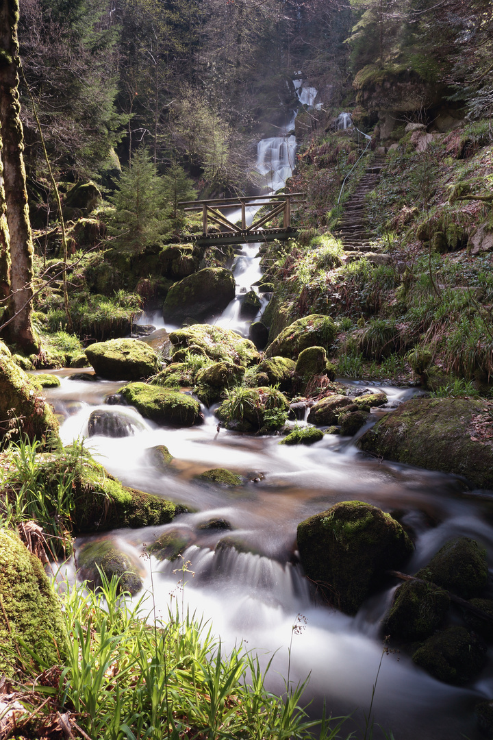 Gertelbach Wasserfall 2