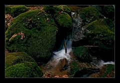 Gertelbach-Wasserfall 5