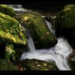 Gertelbach-Wasserfall 6