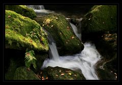 Gertelbach-Wasserfall 6
