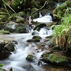 Gertelbacher Wasserfälle