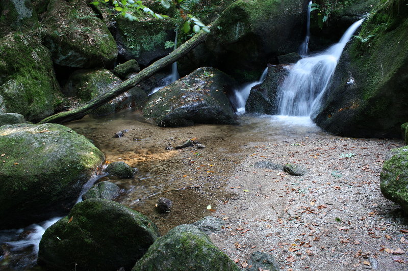 Gertelbacher Wasserfall bei Bühlertal