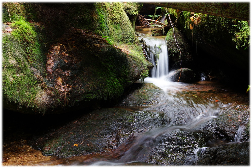 Gertelsbacher Wasserfälle I