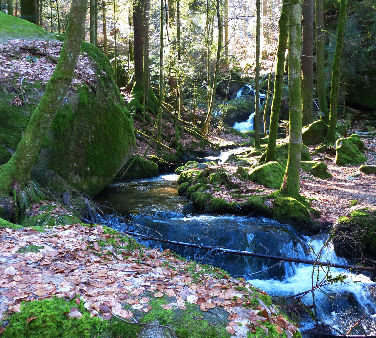 Gertelsbacher ; Wasserfall