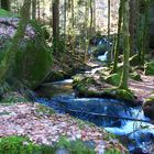 Gertelsbacher ; Wasserfall