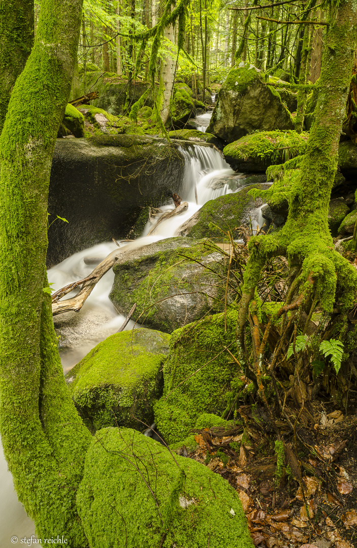 Gertelsbacher Wasserfall III