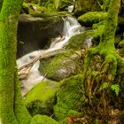 Gertelsbacher Wasserfall III