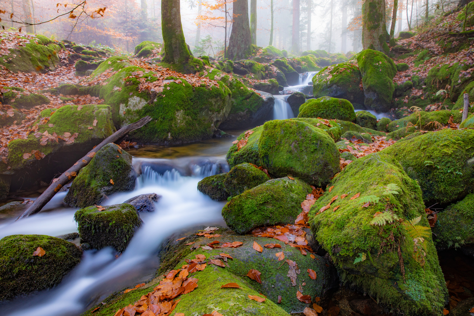 Gertelsbachschlucht im Herbstnebek