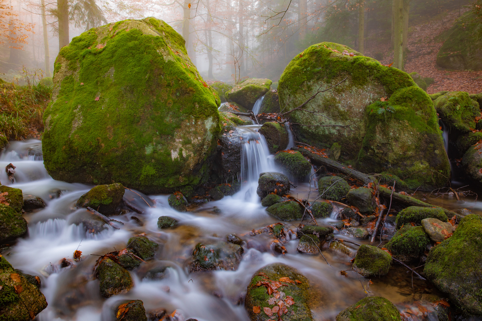 Gertelsbachschlucht im Spätherbst