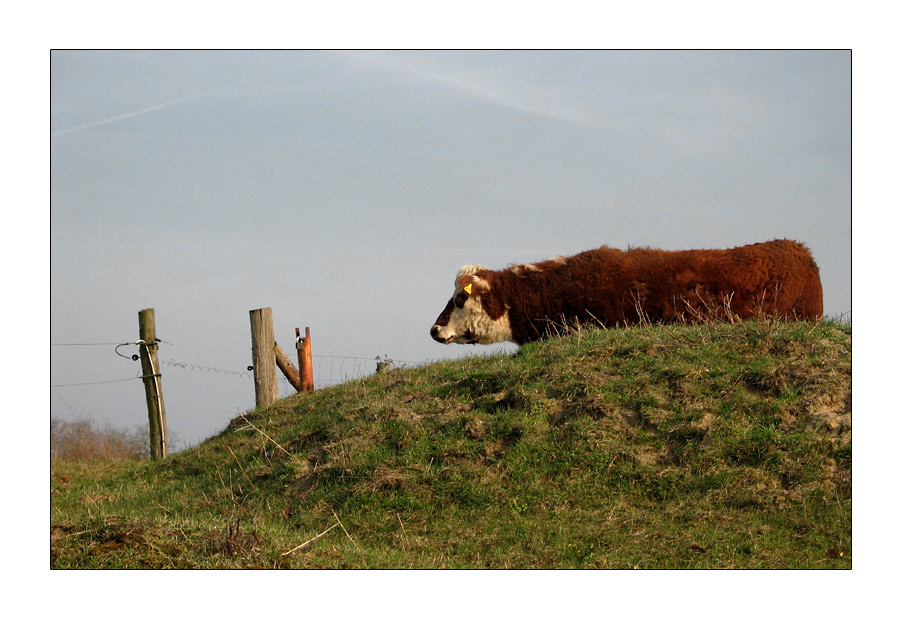 - Gertrud erblickt das Ende ihrer Welt... -