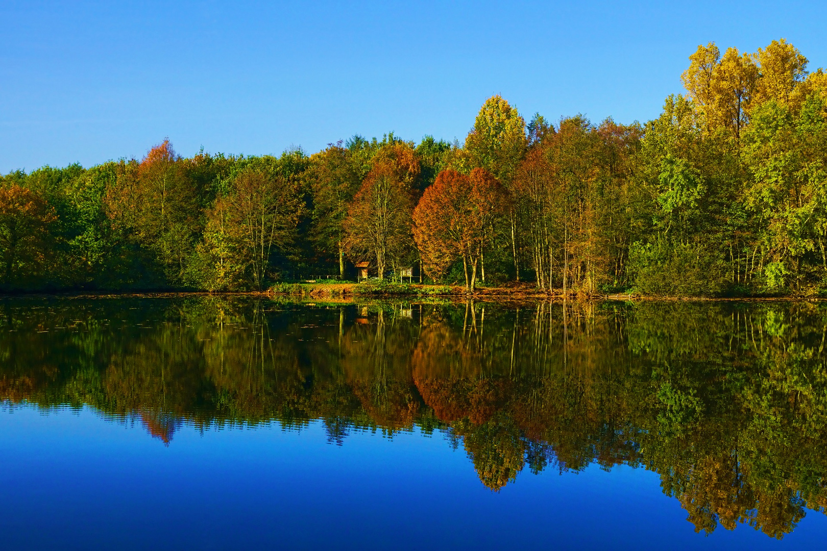 Gertrudensee in Greven