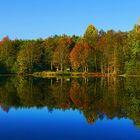 Gertrudensee in Greven