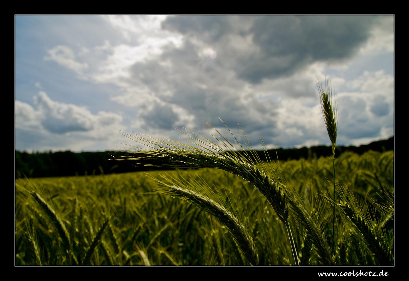 Geruch der Natur ....