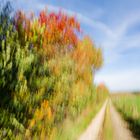 Gerüttelt Maß Herbstlicht