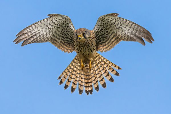 Gerüttelt und nicht geschüttelt