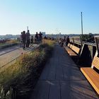 Geruhsamer Rundgang auf der Highline in New York